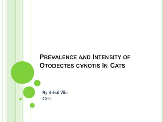 PREVALENCE AND INTENSITY OF
OTODECTES CYNOTIS IN CATS


By Kristi Vilu
2011
 