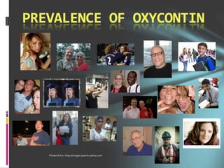 Prevalence of Oxycontin Photos from: http://images.search.yahoo.com  