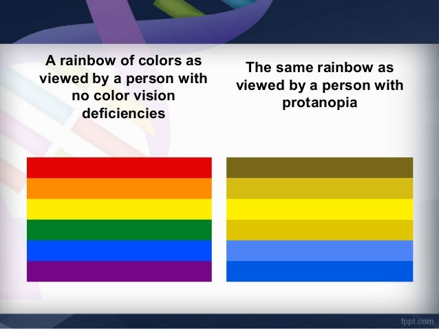 Enchroma coupon code