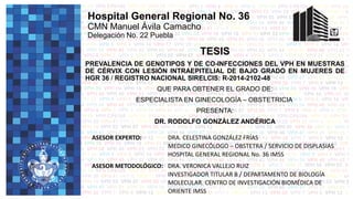 Hospital General Regional No. 36
CMN Manuel Ávila Camacho
Delegación No. 22 Puebla
PREVALENCIA DE GENOTIPOS Y DE CO-INFECCIONES DEL VPH EN MUESTRAS
DE CÉRVIX CON LESIÓN INTRAEPITELIAL DE BAJO GRADO EN MUJERES DE
HGR 36 / REGISTRO NACIONAL SIRELCIS: R-2014-2102-48
QUE PARA OBTENER EL GRADO DE:
ESPECIALISTA EN GINECOLOGÍA – OBSTETRICIA
PRESENTA:
DR. RODOLFO GONZÁLEZ ANDÉRICA
ASESOR EXPERTO: DRA. CELESTINA GONZÁLEZ FRÍAS
MEDICO GINECÓLOGO – OBSTETRA / SERVICIO DE DISPLASIAS
HOSPITAL GENERAL REGIONAL No. 36 IMSS
ASESOR METODOLÓGICO: DRA. VERONICA VALLEJO RUIZ
INVESTIGADOR TITULAR B / DEPARTAMENTO DE BIOLOGÍA
MOLECULAR. CENTRO DE INVESTIGACIÓN BIOMÉDICA DE
ORIENTE IMSS
TESIS
 