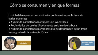 Cómo se consumen y en qué formas
Los inhalables pueden ser aspirados por la nariz o por la boca de
varias maneras:
• Aspirando o inhalando los vapores de los envases
• Rociando los aerosoles directamente en la nariz o la boca
• Aspirando o inhalando los vapores que se desprenden de un trapo
impregnado de la sustancia tóxica
 