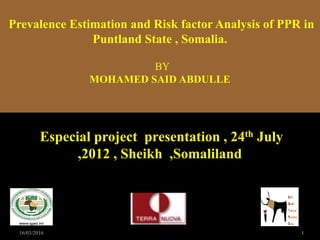 16/03/2016 1
Prevalence Estimation and Risk factor Analysis of PPR in
Puntland State , Somalia.
BY
MOHAMED SAID ABDULLE
Especial project presentation , 24th July
,2012 , Sheikh ,Somaliland
 