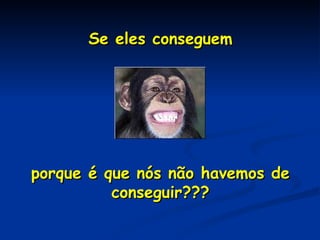 Se eles conseguem porque é que nós não havemos de conseguir??? 
