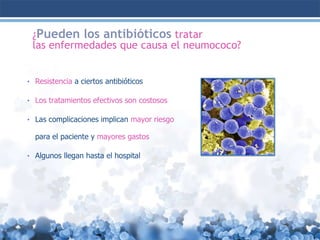 ¿Pueden los antibióticos tratar
las enfermedades que causa el neumococo?
• Resistencia a ciertos antibióticos
• Los tratamientos efectivos son costosos
• Las complicaciones implican mayor riesgo

para el paciente y mayores gastos
• Algunos llegan hasta el hospital

 