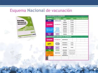 Esquema Nacional de vacunación

 