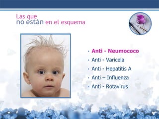 Las que

no están en el esquema

• Anti - Neumococo
• Anti - Varicela

• Anti - Hepatitis A
• Anti – Influenza
• Anti - Rotavirus

 