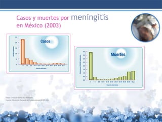 Casos y muertes por meningitis
en México (2003)

Datos: Incluye todas las etiologías
Fuente: Dirección General de Epidemiología 2003,SSA

 
