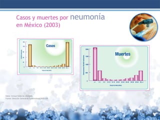 Casos y muertes por neumonía
en México (2003)

Datos: Incluye todas las etiologías
Fuente: Dirección General de Epidemiología 2003,SSA

 