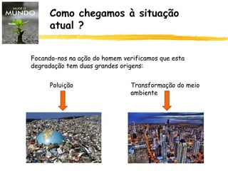 Como chegamos à situação
atual ?
Focando-nos na ação do homem verificamos que esta
degradação tem duas grandes origens:
Poluição Transformação do meio
ambiente
 