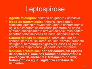 Leptospirose  Agente etiológico:  bactéria do gênero   Leptospira. Modo de transmissão:  animais, como ratos, eliminam leptospira vivas pela urina e contaminam a água e alimentos; as bactérias penetram no corpo humano principalmente através da pele, mas podem penetrar pelas mucosas da boca, narinas e olhos. Características da infecção:  febre alta, dor de cabeça, dores musculares, náusea, vomito, aumento do fígado, hemorragias digestivas,lesões na pele e problemas respiratórios, podendo ocorrer morte. Medidas profiláticas:  por ser comum em épocas de enchentes, uma das formas de combater é a prevenção de enchentes; tratamento do lixo; tratamento da água; vigilância sanitária de alimentos. * Menu 