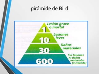 pirámide de Bird
 
