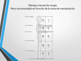 Manejo manual de cargas
Peso recomendado en función de la zona de manipulación
 