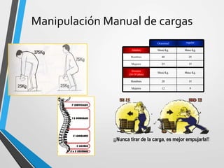 Manipulación Manual de cargas
9
12
Mujeres
15
20
Hombres
Masa Kg.
Masa Kg.
Jóvenes
(16-18 años)
15
25
Mujeres
25
40
Hombres
Masa Kg.
Masa Kg.
Adultos
regular
Ocasional
9
12
Mujeres
15
20
Hombres
Masa Kg.
Masa Kg.
Jóvenes
(16-18 años)
15
25
Mujeres
25
40
Hombres
Masa Kg.
Masa Kg.
Adultos
regular
Ocasional
¡¡Nunca tirar de la carga, es mejor empujarla!!
 