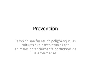Prevención
También son fuente de peligro aquellas
culturas que hacen rituales con
animales potencialmente portadores de
la enfermedad.
 