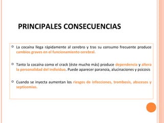 PRINCIPALES CONSECUENCIAS


La cocaína llega rápidamente al cerebro y tras su consumo frecuente produce
cambios graves en el funcionamiento cerebral.



Tanto la cocaína como el crack (éste mucho más) produce dependencia y altera
la personalidad del individuo. Puede aparecer paranoia, alucinaciones y psicosis



Cuando se inyecta aumentan los riesgos de infecciones, trombosis, abscesos y
septicemias.

 