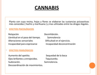 CANNABIS
Planta con cuya resina, hojas y flores se elaboran las sustancias psicoactivas
más conocidas ( hachís y marihuana ) y mas utilizadas entre las drogas ilegales.


EFECTOS PSICOLÓGICOS
Relajación
Llentitud en el paso del tiempo.
Alteraciones sensoriales
Incapacidad para expresarse



Desinhibición.
Somnolencia
Dificultad en el ejercicio.
Incapacidad deconcentración

EFECTOS FISIOLÓGICOS
Aumento del apetito.
Sequedad de la boca
Ojos brillantes y enrojecidos.
Taquicardia.
Sudoración.
Somnolencia.
Descoordinación de movimientos.

 