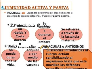 6.INMUNIDAD ACTIVA Y PASIVA
    INMUNIDAD         Capacidad de defensa del organismo ante la
     presencia de agentes patógenos. Puede ser pasiva o activa.


                          Se
     *La inmunidad Pasiva :
       Protecci
                        adquier
          ón                            Se refuerza
                           e
       rápida Y                         a través de
                        durante
         Corta                          la lactancia
                           el
        duració                         materna.
                        embara
           n
                          zoVACUNAS o ANTÍGENOS
      *La inmunidad  activa
 Protecci          Se            
    ón          adquier       :Sustancias introducidas al
  puede          e por        cuerpo ,actúan
  durar          medio        sensibilizando al
 toda la         de las       organismo hasta que éste
   vida.        vacunas       moviliza las defensas
 