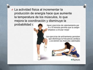 O La actividad física al incrementar la

producción de energía hace que aumente
la temperatura de los músculos, lo que
mejora la coordinación y disminuye la
probabilidad de lesiones.

 