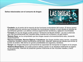 Daños relacionados con el consumo de drogas:
*Cerebelo: es el centro de la mayoría de las funciones involuntarias del cuerpo. El abuso severo
de drogas daña los nervios que controlan los movimientos motores, lo que resulta en pérdida de
coordinación general. Los adictos crónicos experimentan temblores y agitación incontrolable.
*Corazón: El uso de drogas puede producir "Síndrome de Muerte Súbita". Las dos sustancias
que más frecuentemente han causado estas muertes son el tolueno y el gas butano.
*Medula Ósea: se ha comprobado que las drogas causan el envenenamiento esta, causando
causa leucemia.
*Nervios Craneales, Nervios Ópticos Y Acústicos: las drogas atrofian estos nervios, causando
problemas visuales y pobre coordinación de los ojos. Además, destruye las células que envían el
sonido al cerebro. Ello deriva en graves posibilidades de cegueras y sorderas.
*Sangre: las drogas bloquean químicamente la capacidad de transportar el oxigeno en la sangre.
*Sistema Respiratorio: se puede producir asfixia cuando no se desplaza totalmente el oxigeno
en los pulmones. Además se presentan graves irritaciones en las mucosas nasales y tracto
respiratorio.
 