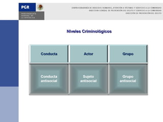 Niveles Criminológicos
 