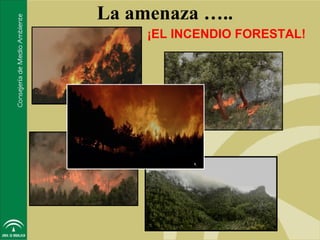 La amenaza …..
     ¡EL INCENDIO FORESTAL!
 