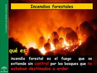 Incendios forestales




qué es:
incendio forestal es el fuego       que se
extiende sin control por los bosques que no
estaban destinados a arder
 