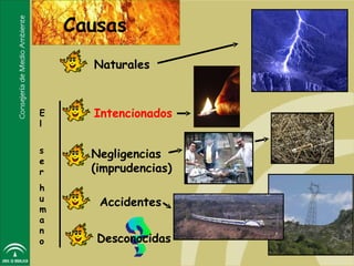 Causas
      Naturales



E     Intencionados
l


s     Negligencias
e
r     (imprudencias)
h
u      Accidentes
m
a
n
o      Desconocidas
 