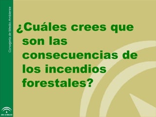 ¿Cuáles crees que
 son las
 consecuencias de
 los incendios
 forestales?
 
