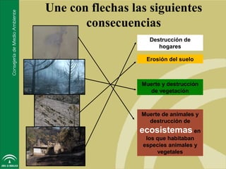 Une con flechas las siguientes
       consecuencias
                    Destrucción de
                       hogares

                   Erosión del suelo



                  Muerte y destrucción
                    de vegetación



                  Muerte de animales y
                    destrucción de
                  ecosistemas en
                   los que habitaban
                  especies animales y
                       vegetales
 