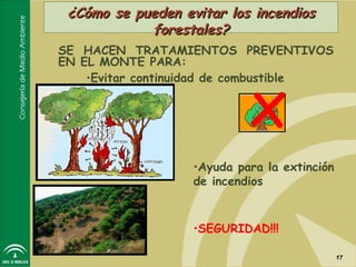 ¿Cómo se pueden evitar los incendios
            forestales?
SE HACEN TRATAMIENTOS PREVENTIVOS
EN EL MONTE PARA:




                            x
    •Evitar continuidad de combustible




                   •Ayuda para la extinción
                   de incendios


                   •SEGURIDAD!!!

                                              17
 