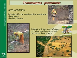 Tratamientos preventivos

ACTUACIONES
Disminución de combustible mediante:
•Desbroce
•Podas,clareos.



                     Líneas o áreas cortafuegos
                     y fajas auxiliares en los
                     terrenos forestales.
 