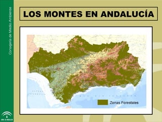 LOS MONTES EN ANDALUCÍA
 
