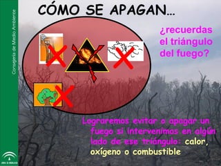 CÓMO SE APAGAN…


x x
                          ¿recuerdas
                          el triángulo
    F
                          del fuego?




x       Lograremos evitar o apagar un
          fuego si intervenimos en algún
          lado de ese triángulo: calor,
          oxígeno o combustible
 