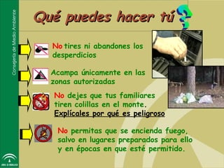 Qué puedes hacer tú
  No tires ni abandones los
  desperdicios

  Acampa únicamente en las
  zonas autorizadas
  No dejes que tus familiares
  tiren colillas en el monte.
  Explícales por qué es peligroso

   No permitas que se encienda fuego,
   salvo en lugares preparados para ello
   y en épocas en que esté permitido.
 