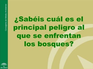 ¿Sabéis cuál es el
principal peligro al
 que se enfrentan
   los bosques?
 
