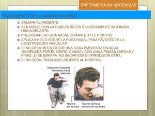 ENFERMERÍA EN URGENCIAS
TRATAMIENTO DE LA SANGRADO NASAL
 CALMAR AL PACIENTE
 SENTARLO CON LA CABEZA RECTA O LIGERAMENTE INCLINADA
HACIA DELANTE.
 PRESIONAR LA FOSA NASAL DURANTE 4 O 5 MINUTOS
 APLICAR HIELO SOBRE LA FOSA NASAL PARA FAVORECER LA
CONSTRICCIÓN VASCULAR
 SI NO CESA: INTRODUCIR UNA GASA EMPAPADA EN AGUA
OXIGENADA POR EL ORIFICIO NASAL CON UNAS PINZAS LARGAS Y
FINAS. SI SE EMPAPA NO SACAR ESA E INTRODUCIR OTRA.
 SI NO CESA: TRASLADO URGENTE AL HOSPITAL
 