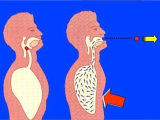 ENFERMERÍA EN URGENCIAS
 