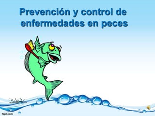 Prevención y control de  enfermedades en peces 