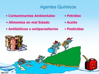  Factores de Temperatura
