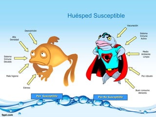 Factores de Radiación