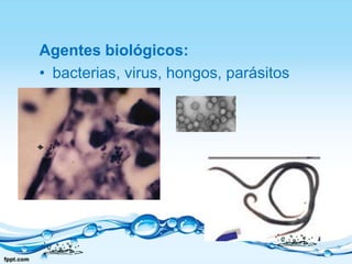 Agentes biológicos:bacterias, virus, hongos, parásitos