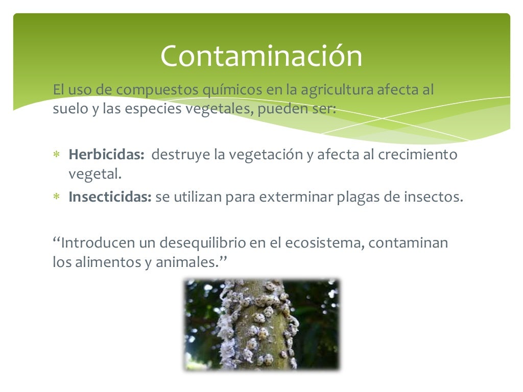 Prevención y control de la contaminación del suelo Prevención y control de la contaminación del suelo