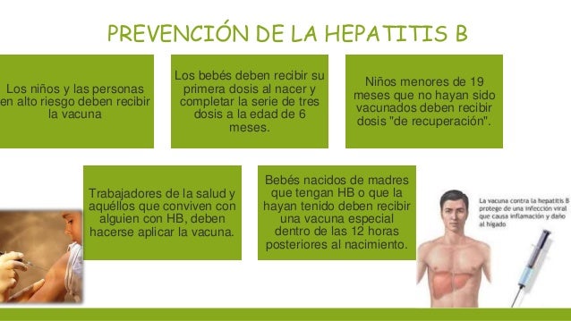Virus de la Hepatitis B Virus de la Hepatitis B