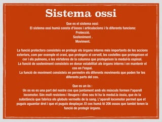 Sistema ossi
Que es el sistema ossi:
El sistema ossi humà consta d'óssos i articulacions i fa diferents funcions:
Protecció.
Sosteniment .
Moviment.

La funció protectora consisteix en protegir els òrgans interns més importants de les accions
exteriors, com per exemple el crani, que protegeix el cervell, les costelles que protegeixen el
cor i els pulmons, o les vèrtebres de la columna que protegeixen la medul·la espinal.
La funció de sosteniment consisteix en donar estabilitat als òrgans interns i en mantenir el
cos en l'espai.
La funció de moviment consisteix en permetre els diferents moviments que poden fer les
diferents parts del cos.

Que es un òs :
Un os es es una part del nostre cos que juntament amb els músculs formen l'aparell
locomotor. Són molt resistens i lleugers i dins seu hi ha la medul.la òssia, que és la
substància que fabrica els globuls vermells de la sang. L'aparell locomotor permet que et
puguis aguantar dret i que et puguis desplaçar. El cos humà té 206 ossos que també tenen la
funció de protegir òrgans.

 