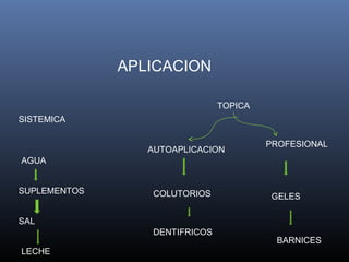 APLICACION

                                TOPICA
SISTEMICA

                                         PROFESIONAL
                 AUTOAPLICACION
AGUA


SUPLEMENTOS       COLUTORIOS             GELES

SAL
                  DENTIFRICOS
                                          BARNICES
LECHE
 