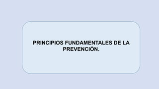 PRINCIPIOS FUNDAMENTALES DE LA
PREVENCIÓN.
 