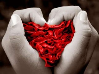 Prevencion cardiovascular en pediatría