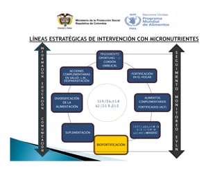 Estrategia Nacional para la Prevención y Control de las Deficiencias de Micronutrientes
