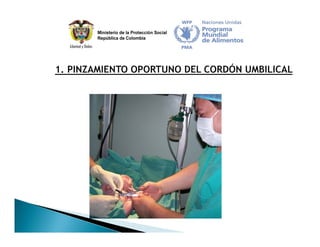 Estrategia Nacional para la Prevención y Control de las Deficiencias de Micronutrientes