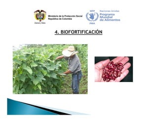 Estrategia Nacional para la Prevención y Control de las Deficiencias de Micronutrientes